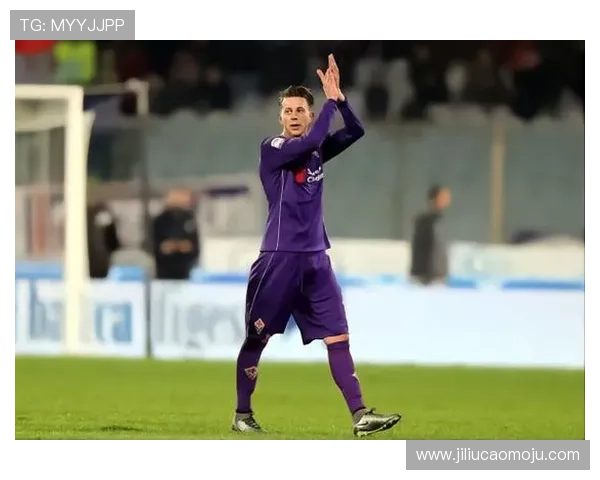 多铎复苏曼德拉戈拉领衔紫百合